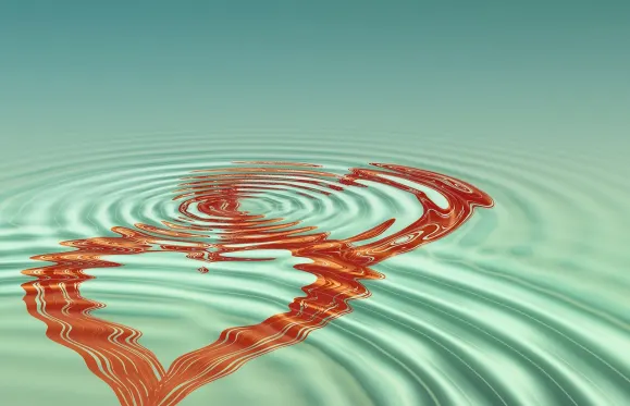 קזינו דוב סלוטס תמיכה